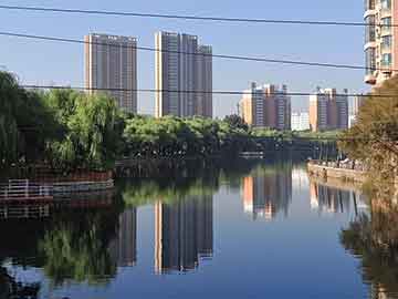 澳门管家婆100，构建解答解释落实_ay56.46.88